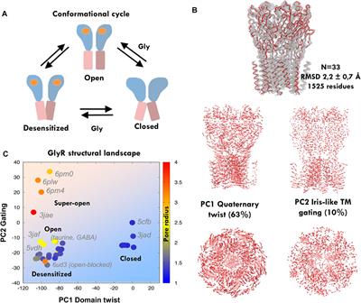 Exploring the Conformational Impact of Glycine Receptor TM1-2 Mutations Through Coarse-Grained Analysis and Atomistic Simulations